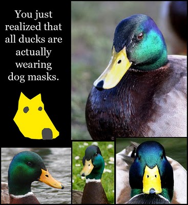 Duck Dog Mask.jpg