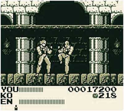 Fighting Simulator 2-in-1 Screenshot