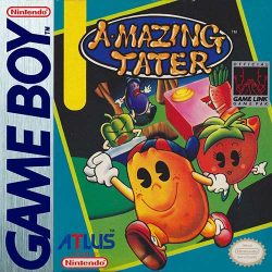 The Rarest and Most Valuable GameBoy Games - RetroGaming Racketboy