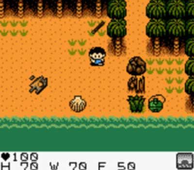 Survival Kids Screenshot